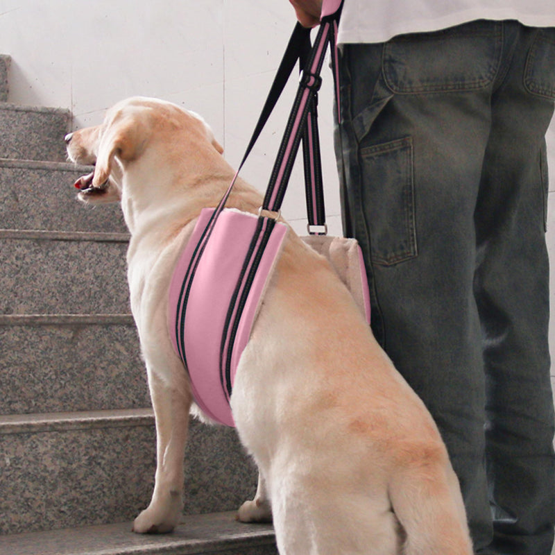 AIITLE Dog Carrier Sling Medium - Hind Leg Support Sling with Hip Padding, Rehab Mobility Aid for Senior/Disabled Dogs, Orthopedic Injury & ACL Surgery Recovery (Pink, M) Pink - PawsPlanet Australia