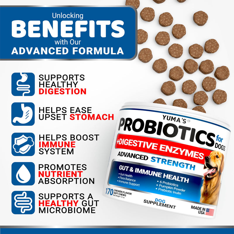 Probiotics for Dogs and Digestive Enzymes - 170 Dog Probiotics Chews - Dog Probiotic - Anti Diarrhea, Upset Stomach & Gas Relief, Constipation, Canine Prebiotic - Pet Fiber Supplement - Gut Health Chicken Probiotics + Enzymes (170 Chews)