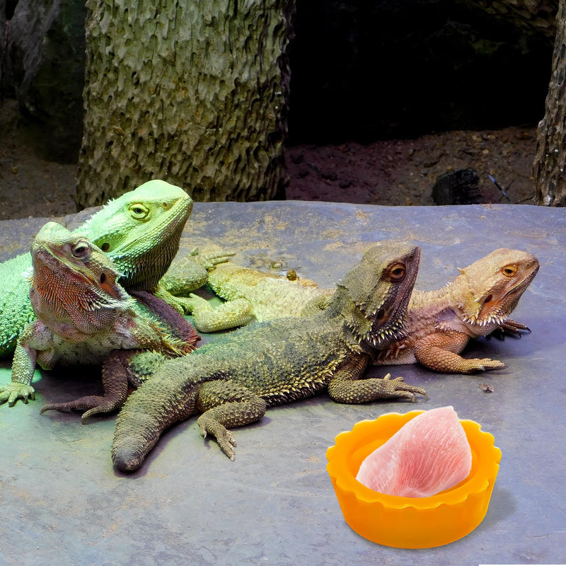 12PCS Gecko Food Cups, Plastic Crested Geckos Food Dish, Reptile Crested Silicone Bottle Caps, Mini Tray for Geckos Feeding Cups Easy to Clean - PawsPlanet Australia