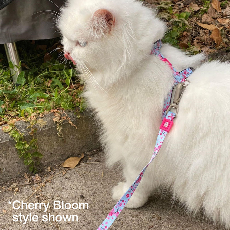Max and Molly Adjustable Cat Harness and Leash Set - Escape-Proof Cat Harness with Leash for Outdoor Walking and Exploring - Tropical Design (Cherry Bloom) Cherry Bloom - PawsPlanet Australia