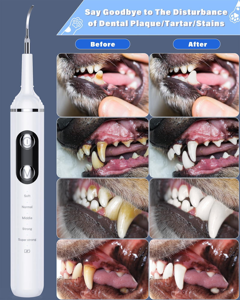 Plaque Remover for Teeth, Pet Tooth Brushing Kit, Dental Tools to Remove Plaque and Tartar, Safe for Dog and Cat, with LED Light, White - PawsPlanet Australia
