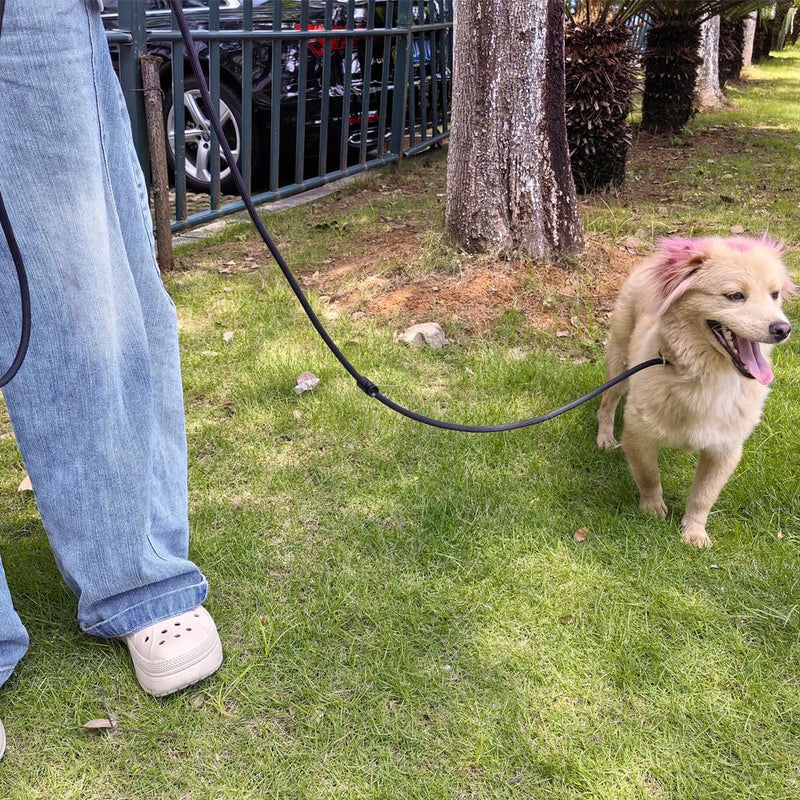 Double Handle Slip Lead 8FT Dog Leash, 1/4" Nylon Rope Training Lead, Traffic Handle No-Pull Control Leash for Small Medium Pet Puppies Walking（8FT*1/4", Black） 8FT * 1/4" - PawsPlanet Australia
