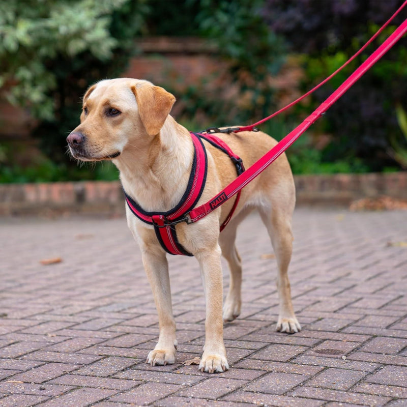 HALTI Comfy Harness - Lightweight, Fleece-Lined, Reflective & Adjustable Dog Harness, Front & Back Ring for a Dog Leash, Great for Puppy Walks. Suitable for Small Dogs and Puppies (Size Small) - PawsPlanet Australia