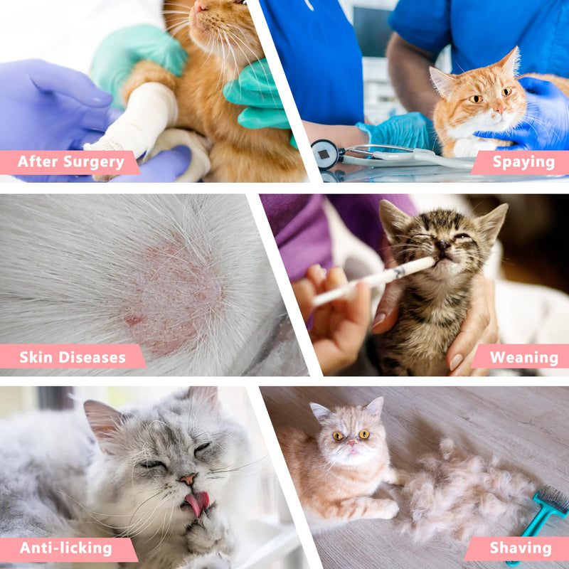 Cat Recovery Suit Anti Licking, Cat Surgery Recovery Suit Female Cats Kitten Onesie After Spay, Cone of Shame Alternative, Post- Surgery Kitten Surgical Clothes for Abdominal Wounds(Pink,M) Medium Pink