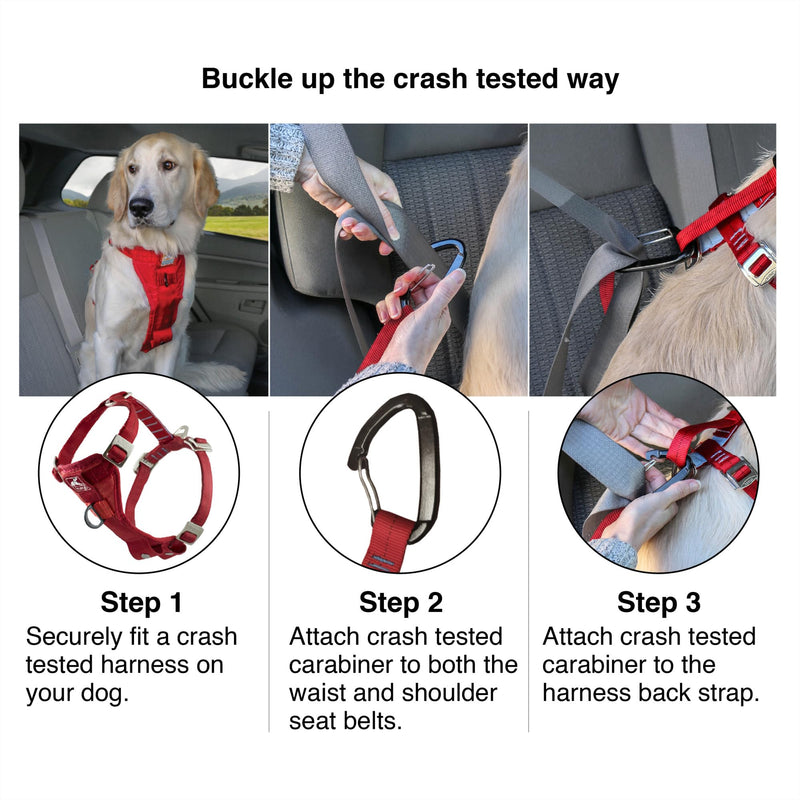 Kurgo Enhanced Strength Tru-Fit Dog Car Harness - Pet Travel Safety Harness - Crash Test Certified Fit - Five Point Adjustment - Secure Buckle - Padded Chest - Black - Small - PawsPlanet Australia