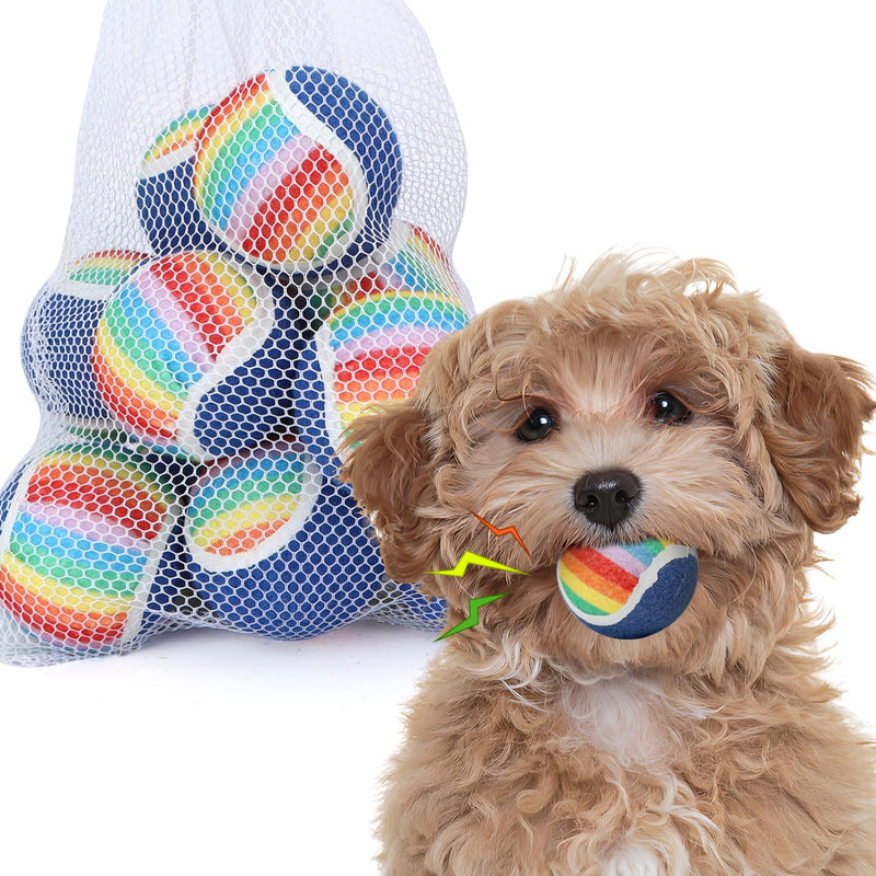 Nobleza Squeaky Tennis Balls for Dogs, 12 Pack 2.5“ Floatable Dog Tennis Balls for Small Medium Dogs, Training Safe Natural Rubber Dog Toys Balls for Dogs to Fetch Exercise, Rainbow - PawsPlanet Australia