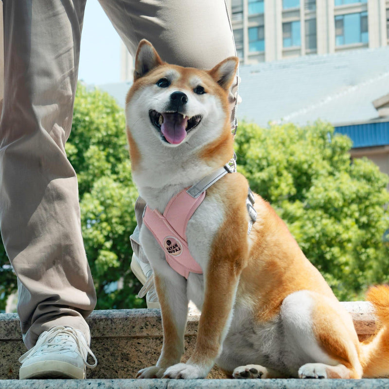 Patas Lague Dog Harness with Leash Set Adjustable Soft Padded Step-in Dog Vest No Choke No Pull Reflective for Small Medium Dogs with Poop Bags and Dispenser, Solid and No-chew, Pink M M (Neck 19.3-23.3'' Chest 22.5-25.6'') - PawsPlanet Australia