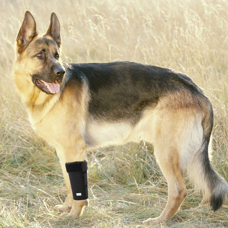 In hand Dog Front Leg Compression Brace, Pair of Canine Leg Wrap with Metal Strips & Safety Reflective Straps, Protects Wounds Brace Heals and Prevents Injuries and Sprains L-XL
