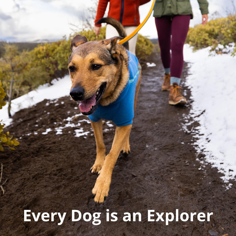 Ruffwear, Roamer Bungee Dog Leash for Running, Biking or Hiking, Can be Used Hand-Held or Hands-Free, River Rock Green, 5.5'-7' 5.5'-7' - PawsPlanet Australia