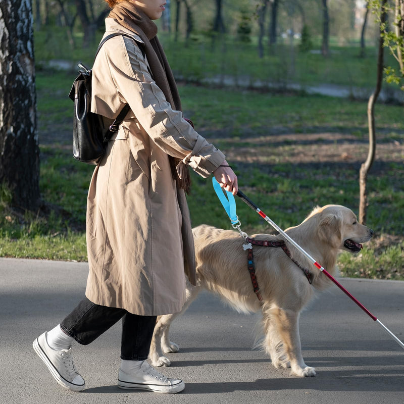 2 Pcs Short Traffic Leash for Dog Training, Short Nylon Dog Leash with 360 Rotation Locking Carabiner Clips, Dog Walking Tab for Medium Large Dogs - PawsPlanet Australia