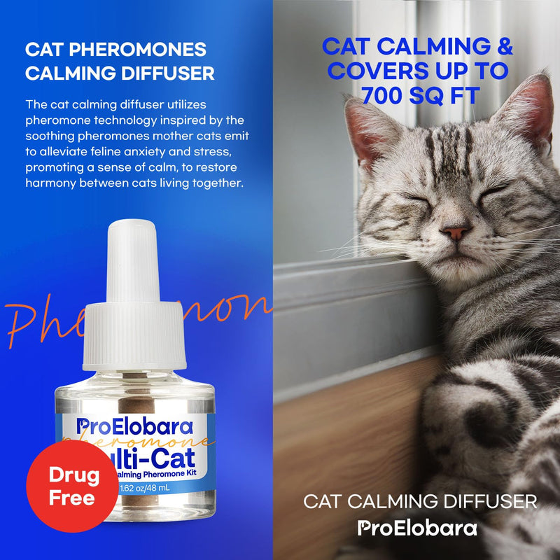 Cat Calming Pheromone Plug Diffuser: Enhanced Multicat Calming Pheromones Diffusers - Multi Cat Calm Anti Anxiety Pheromone Diffuser for Cats Stress Relief - Cats Calm Diffusers 1 Pack/60 Day Supply - PawsPlanet Australia