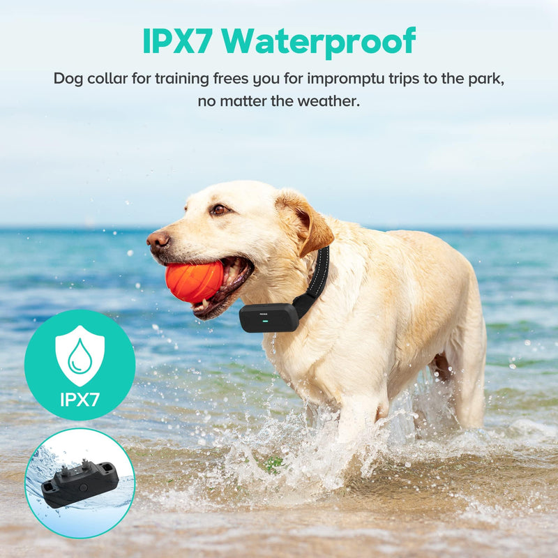 Dog Training Collar with Remote Control: IPX7 Waterproof Shock Collar for Dogs with 3 Training Modes, 99 Adjustable Levels, 1600FT Range, Rechargeable for Small to Large Dogs - PawsPlanet Australia