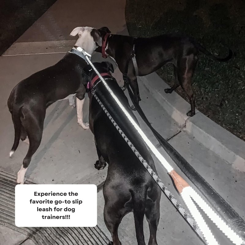 Wooflinen Reflective 6ft Climbing‑Rope Dog Slip Leash, Elegant Design, Durable, Heavy Duty Lead for Large, Medium Dogs and Strong Pullers - Night Walks (Starry Night) Starry Night - PawsPlanet Australia