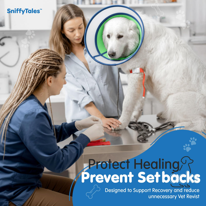 Soft Dog Cone Collar After Surgery – Adjustable Recovery Cone for Medium & Large Dogs – Double-Layer Protective Elizabethan Collar for Wound Protection & Licking Prevention – Comfortable - Blue