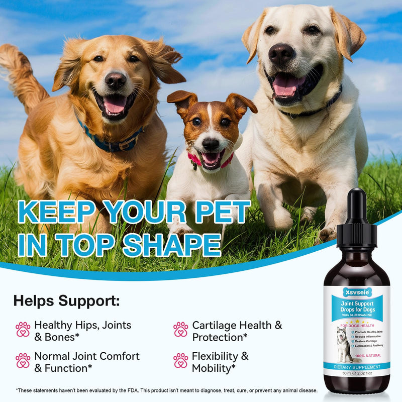 Pain Relief for Dogs, Hip & Joint Glucosamine Drops for Dogs, Chondroitin Drops for Dogs, Natural Formula with Essential Nutrients for Active & Aging Dog, 60ml - PawsPlanet Australia