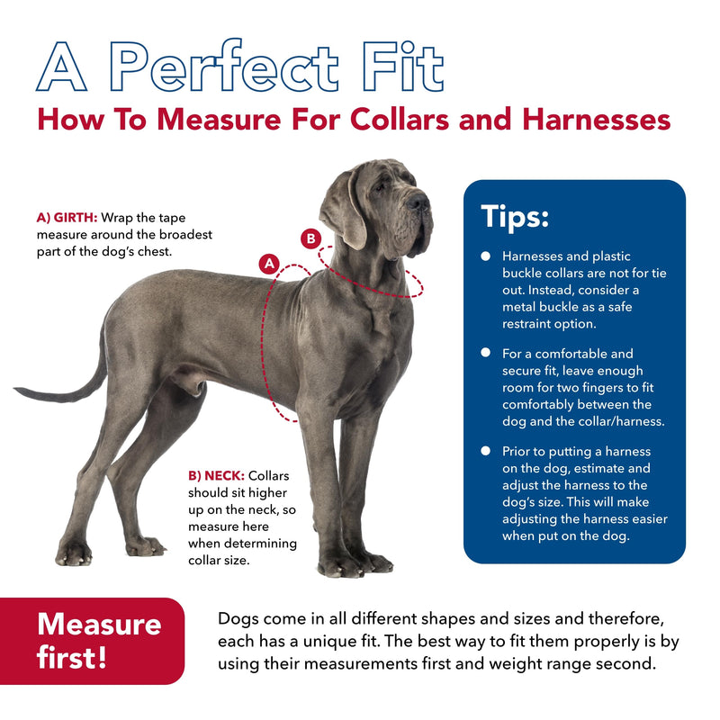 Coastal Pet K9 Explorer Reflective Adjustable Dog Collar - Comfortable Collar for The Outdoors - Durable, Lightweight Accessory with Side-Release Buckle - Rosebud, 5/8" x 10-14" 5/8" x 10-14"