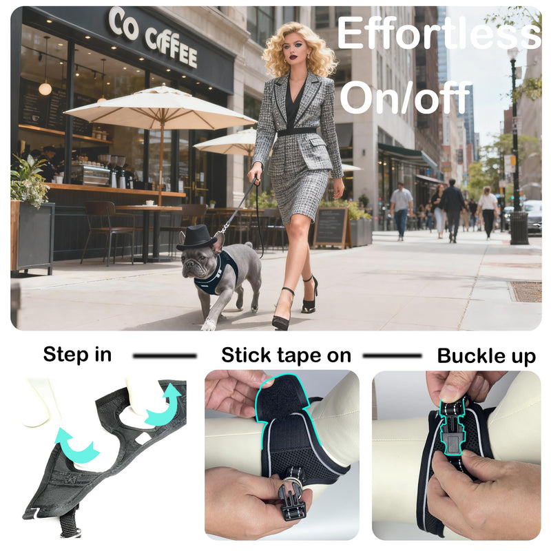 Dog Harness and Leash Set, No Pull Soft Mesh Pet Harness -in Puppy Pet Vest Harnesses for XS,Small,Medium Dogs and Cats Black-XS XS (Chest: 12.5-14") - PawsPlanet Australia