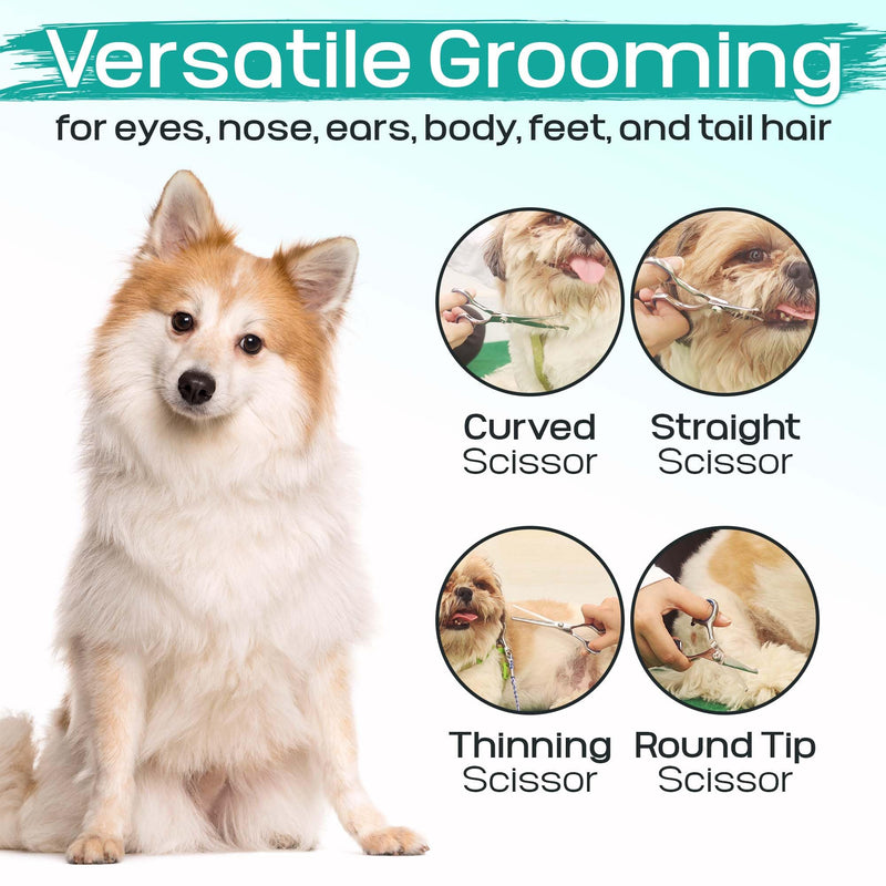 Professional Pet Grooming Kit – 6 in 1 Dog Grooming Scissor Kit - Dog & Cat Grooming Supplies - Adjustable Screw Scissors, 4CR Stainless Steel Dog Clippers, Hair Thinning Shears, Rubber Grips… Pack of 6 - PawsPlanet Australia