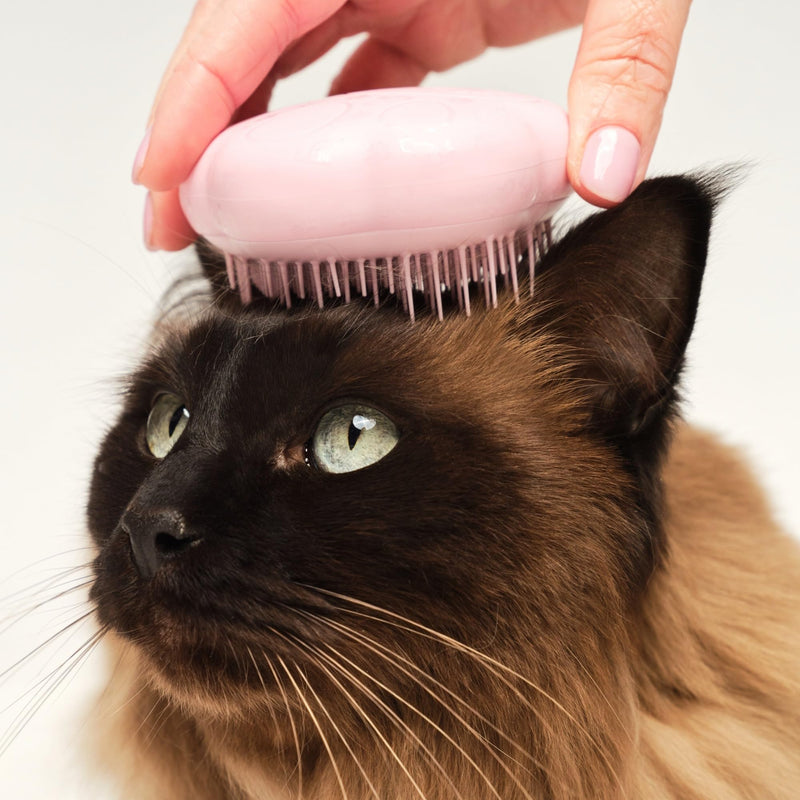 Pet Teezer by Tangle Teezer Cat Brush, De-Shedding Cat Hair Brush for a Gentle, Soothing Groom & Short to Medium Length Fur, Millennial Pink - PawsPlanet Australia