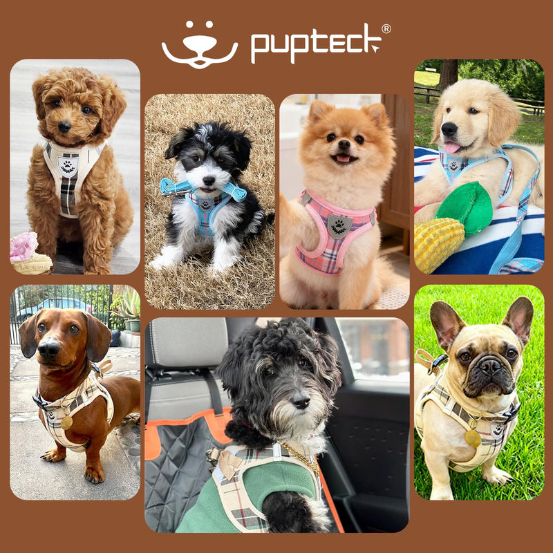 PUPTECK Dog Harness Small Dog with Collar and Lead Set Step-in No Pull Puppy Cat Harnesses for Daily Walking S: Chest girth: 36.8-40.6cm Collar: 20-30cm Beige (Plaid) - PawsPlanet Australia