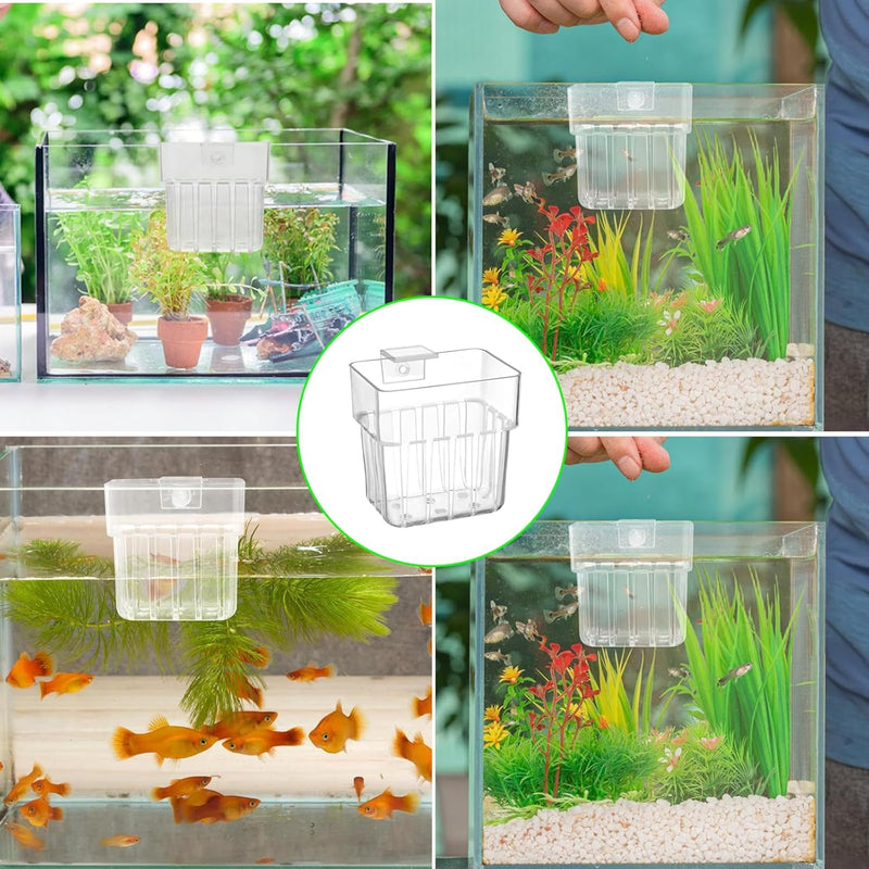 Aquarium Plant Holder, Aquatic Fish Tank Plant Holder with Hooks, Clear Aquatic Fishtank Planter Hanging Holder, Fish Tank Decorations Aquarium Decor (2 Pcs) 2 Pcs - PawsPlanet Australia