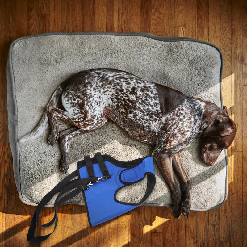 COLLBATH Dog Carrier Harness for Seniors and Injured Dogs, Adjustable Front Leg Aid Harness with Padded, Breathable Assistance Belt for Mobility Rehabilitation, Durable and