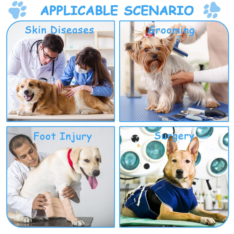 Soft Cone for Medium Dogs Alternative After Surgery, Adjustable Dog Recovery Collars & Cones to Stop Licking, Comfortable Elizabethan Cone of Shame Alternatives - Blue Green (M) - PawsPlanet Australia