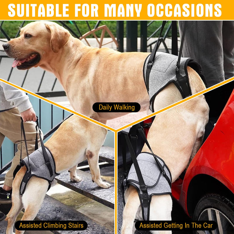 Risipu Dog Lifting Harness For Back Legs Dog Sling Support For Small Medium Large Adjustable Dogs Leg Support With Lift Handle Soft Assistance For Senior, Injured, Arthritic, etc. (Grey, L) Grey