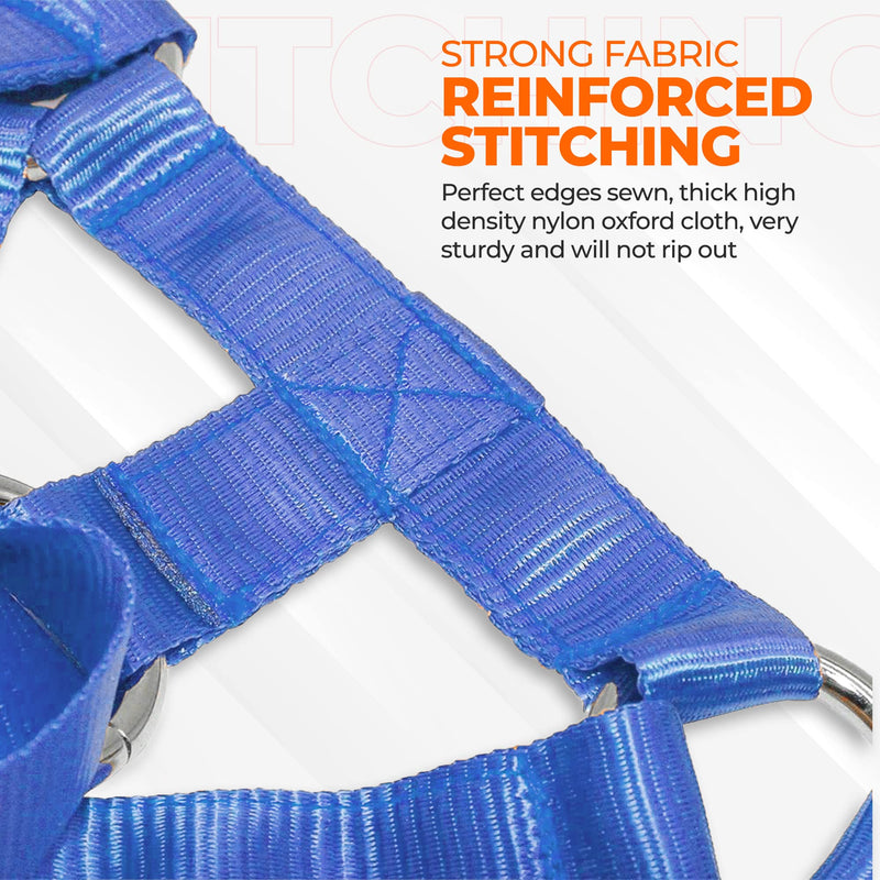 Dog Head Halter with Safety Strap - Headcollar - No-Pull Dog Collar – Perfect for Leash & Harness Training Medium and Large Dog Sizes (Size XL (Pack of 1), ฺBlue) - PawsPlanet Australia