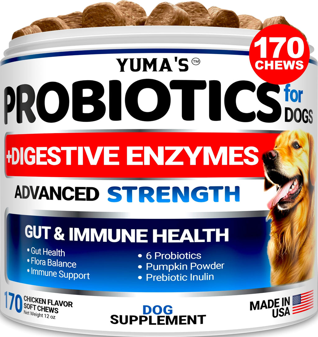 Probiotics for Dogs and Digestive Enzymes - 170 Dog Probiotics Chews - Dog Probiotic - Anti Diarrhea, Upset Stomach & Gas Relief, Constipation, Canine Prebiotic - Pet Fiber Supplement - Gut Health Chicken Probiotics + Enzymes (170 Chews)