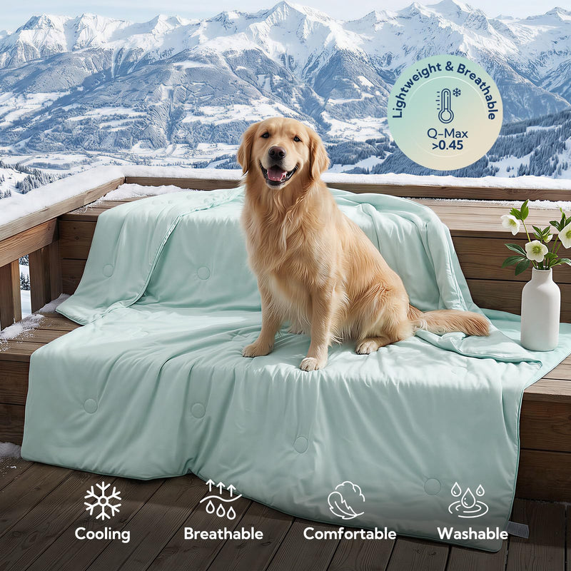 Soulbond Cooling Blanket for Extra Large Dog - Q-MAX>0.45, Washable Cool Pet Throw Blanket for Cat, Puppies, Breathable Soft Self-Cooling Dog Bed Mat for Crates Couch Sofa, 50x60 Inch, Aqua Green 50" x 60" (X-Large) - PawsPlanet Australia