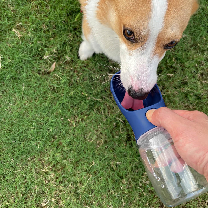 Self-Adhesive Bandages with Leak-Proof Dog Water Cup Set