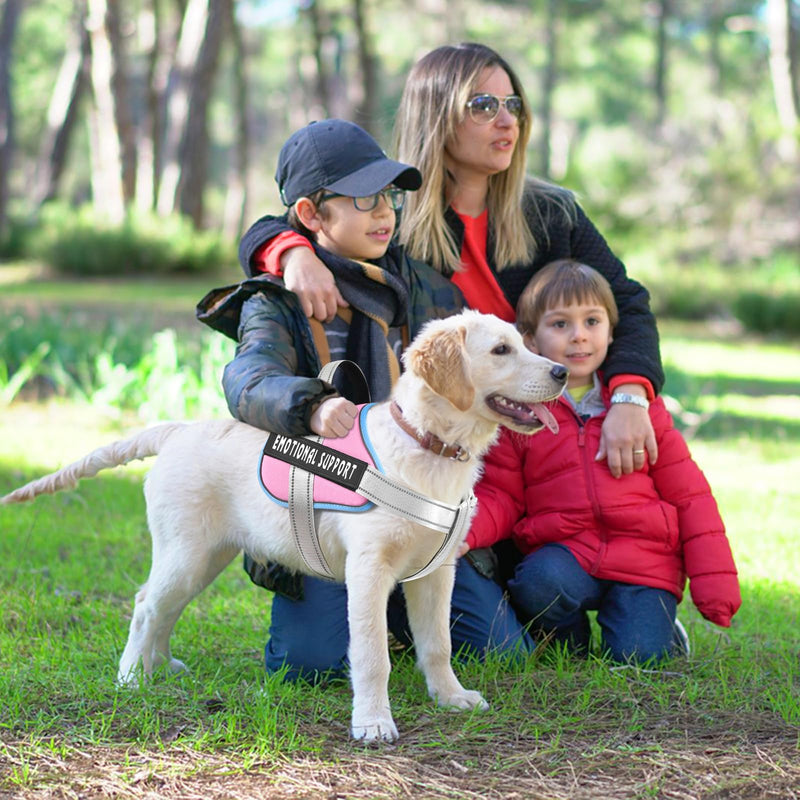 voopet Emotional Support Dog Harness, Professional Service Dog Vest Harness for Small Medium Large Dogs, Reflective Breathable and Adjustable No Pull/Choke ESA Essential Harness Blue_Pink X-Small (Pack of 1)