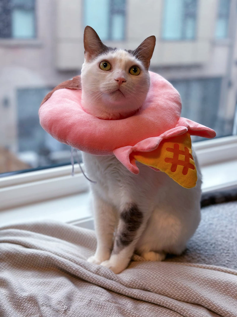 CREAMYCATS Cat Cone, Adjustable Recovery Cat Cone, Cute Comfortable Lightweight Elizabethan Collar for Cat, Kitten, Puppy and Mini Dog, Adorable Ice Cream Design - PawsPlanet Australia