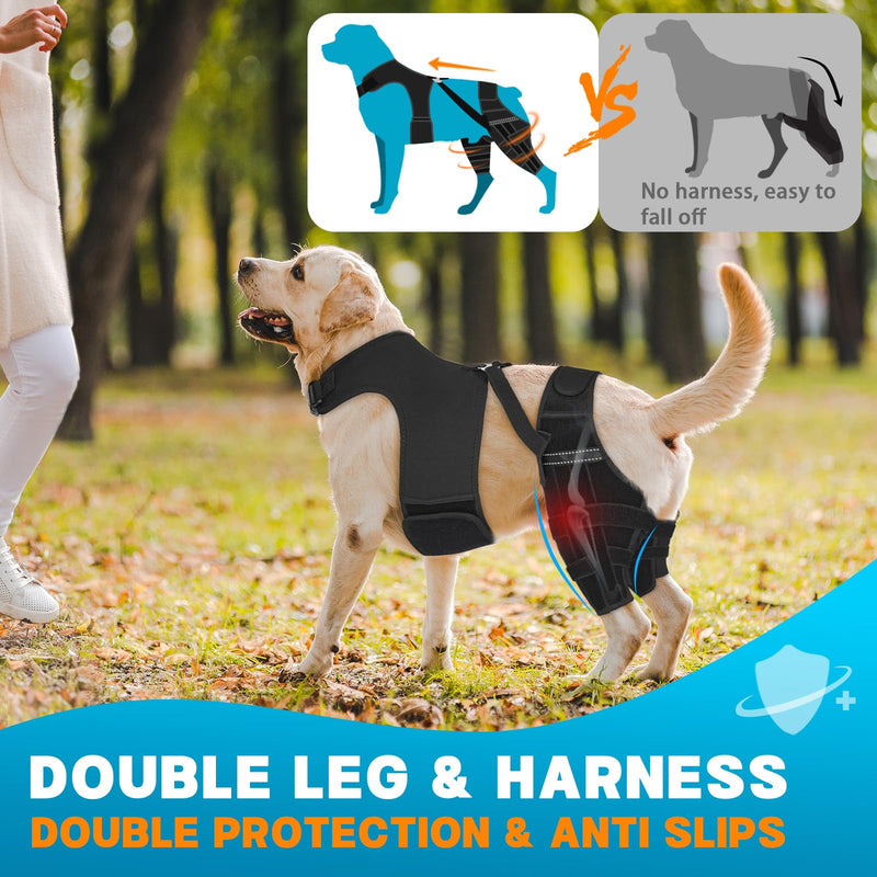 Dog Knee Brace for Torn Acl Hind Leg, Adjustable for Back Leg with 7 Stabilizers, Reduces Pain, Ligament Injuries & Luxating Patella for Small Medium Large Dogs M Black