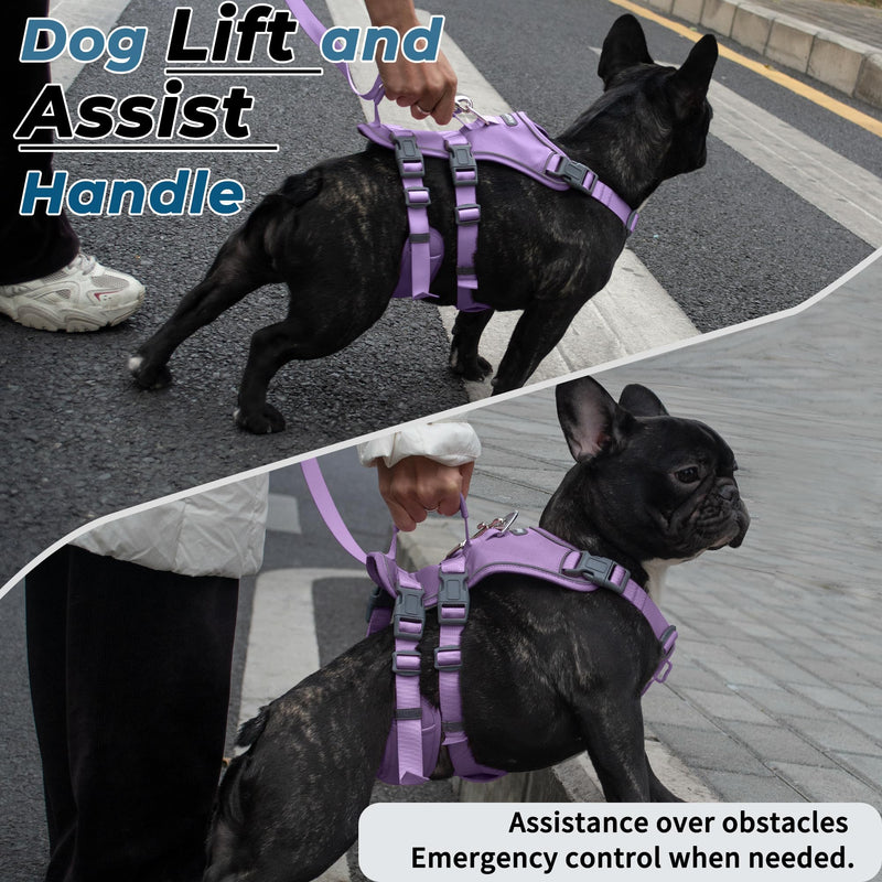 Escape Proof Dog Harness and Leash Set, Lightweight Dog Harness with Lift and Assist Handle, No Pull Reflective Pet Vest for Small Medium Dogs, Ideal for Puppy Walking and Training (Purple, M) Purple (Harness+Leash)
