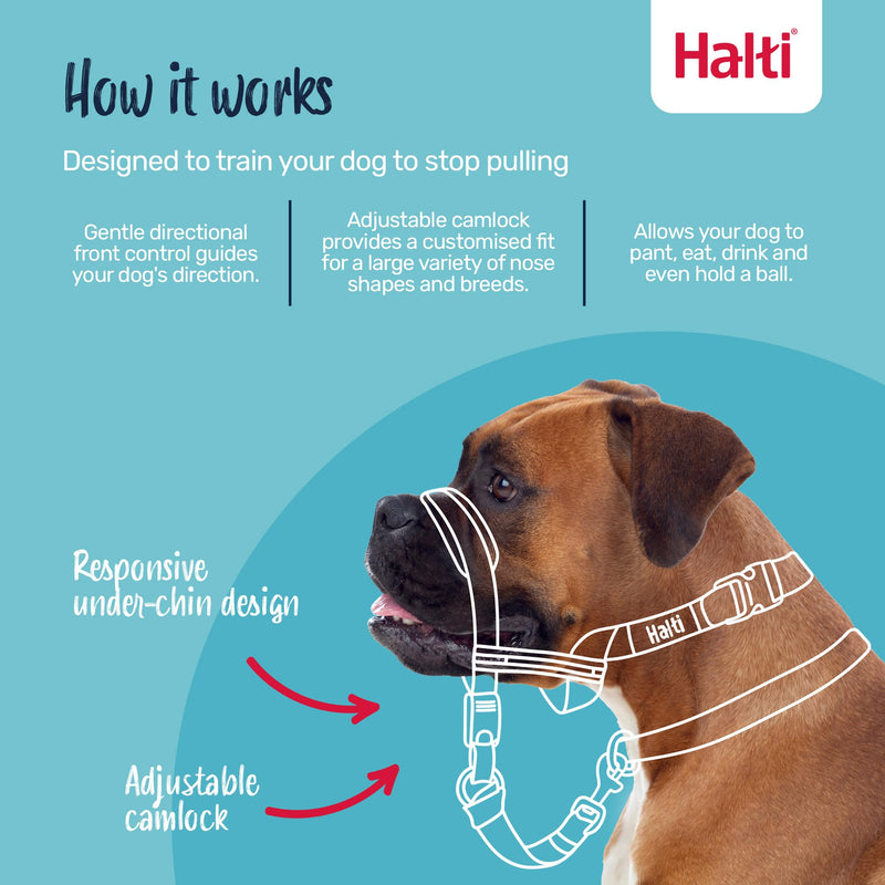Halti Optifit Headcollar - Dog Head Harness to Stop Pulling on the Lead, Easy to Use, Adjustable & Reflective Head Collar for Dogs, Professional Anti-Pull Training Aid (Size Medium)