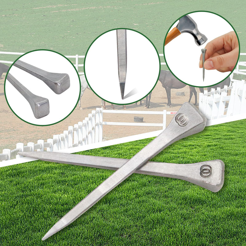 250pcs Horseshoe Nails E6 Stainless Steel,2.1 Inches Easy Carry Hoof Horseshoe Tools,Securing Firmly Tool Accessory for Horse Training Equestrian Sports (E6) - PawsPlanet Australia