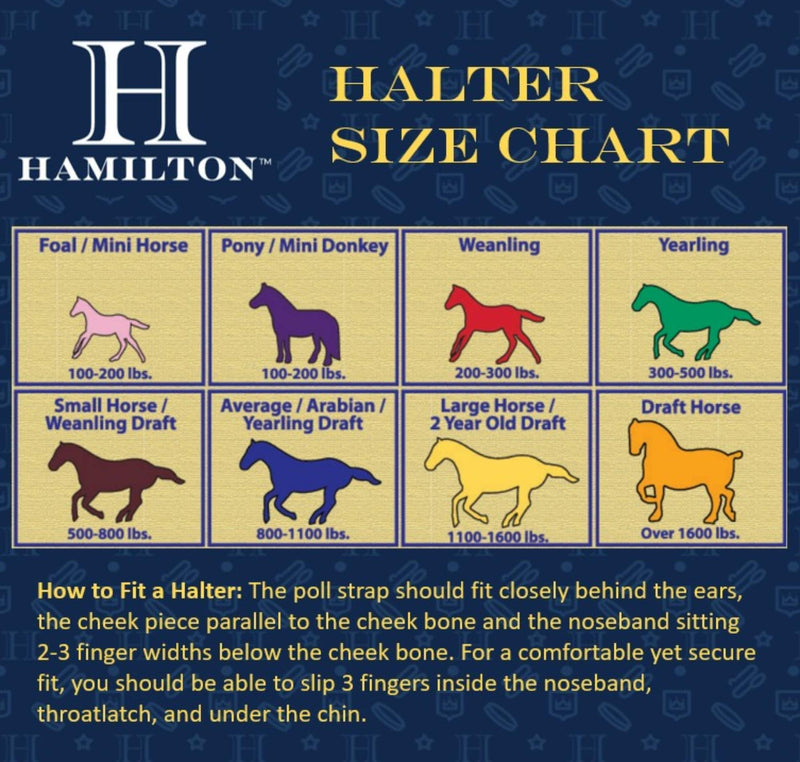 Hamilton Deluxe Horse Halter, 1" Triple Ply Nylon, Yearling or Standard Donkey, 300-500 lbs, Dark Green Yearling, 300-500lbs - PawsPlanet Australia
