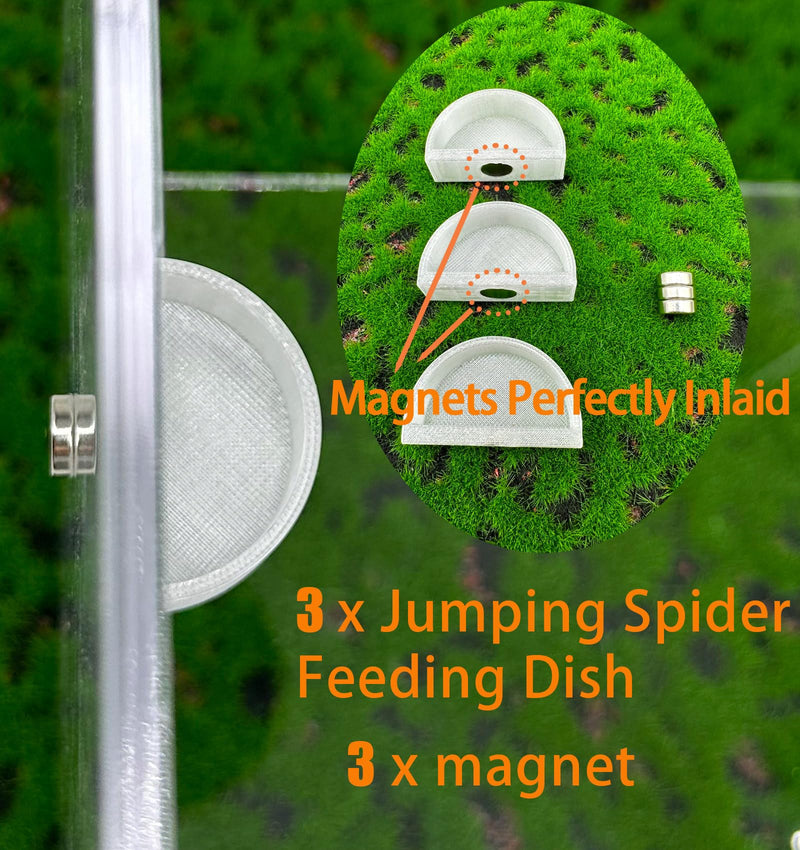 3 PCS Jumping Spider Feeding Dish, Tiny Food Dishes Water Dish for Jumping Spider, Tarantula and Other Small Pets, Half Round - PawsPlanet Australia