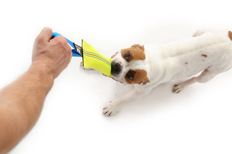 Dog Bite Tug Toy 10 inches - Durable, Interactive Toys for Medium to Large Dogs - Perfect for Tug of War, Fetch & Puppy Training - Safe Fire Hose Dog Tug with Strong Handle - Tough Floating Pull Toy - PawsPlanet Australia