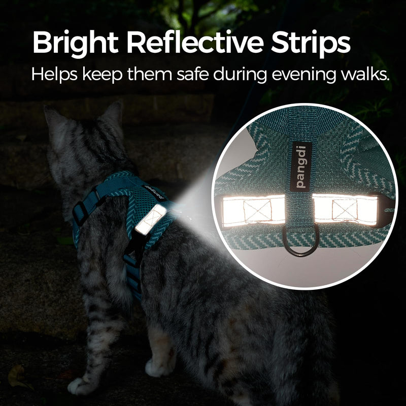 Cat Harness and Leash Escape Proof Extra Large Kitten Harness Maine Coon Cat Vest for Walking Travel, Turquoise, XL X-Large