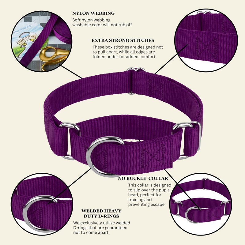 Country Brook Petz - Martingale Dog Collar - Heavy-Duty Training Collar with No Buckle - Service Dog Collar for All Pups - 10+ Cool Colors (Purple, 1 Inch, Medium) Medium (Pack of 1) Purple - PawsPlanet Australia