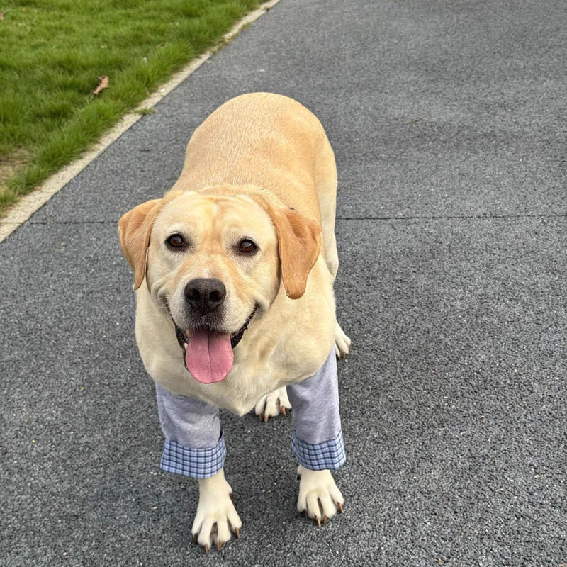 Formal Style Dog Elbow Pads – Knee Wrap Front Leg Sleeves for Large Dogs, Wound Protection & Anti-Licking Brace for Injured Legs or Joints (Grey, Size XL-Sleeve Length 11.0 inch) Grey