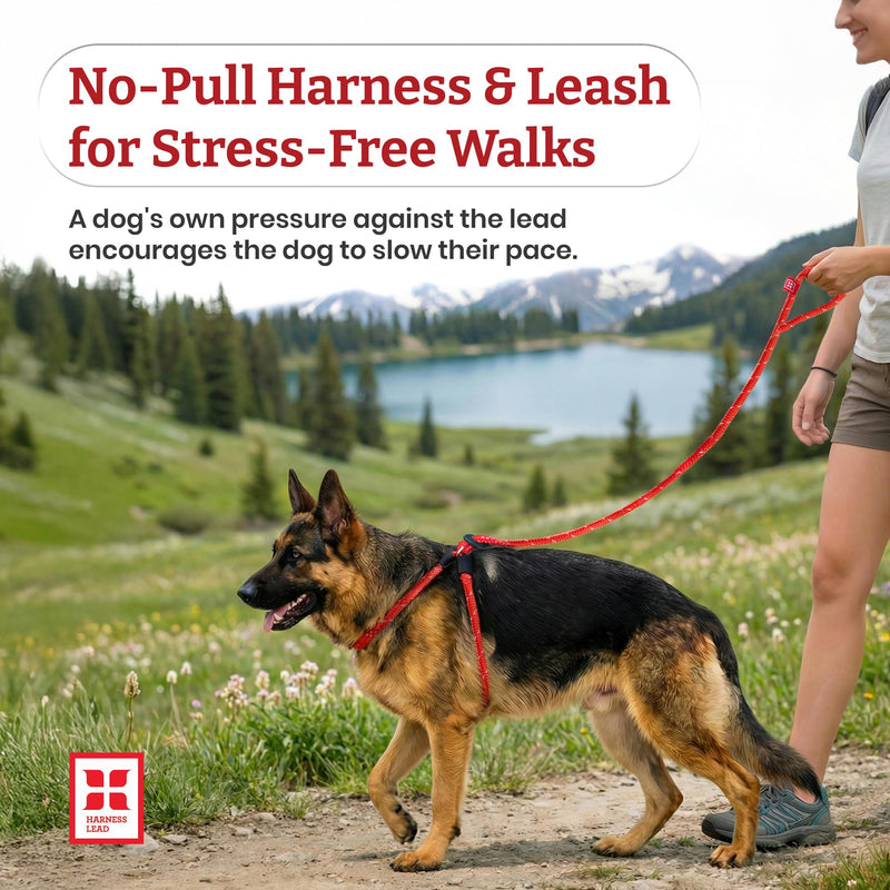 Harness Lead No Pull Dog Harness and Leash Set, No Pull Dog Harness for All Breeds and Sizes, One-Piece Padded Rope Design Prevents Escape and Pulling Medium/Large (40-170 lbs) Reef (Purple/Raspberry/Turquoise)