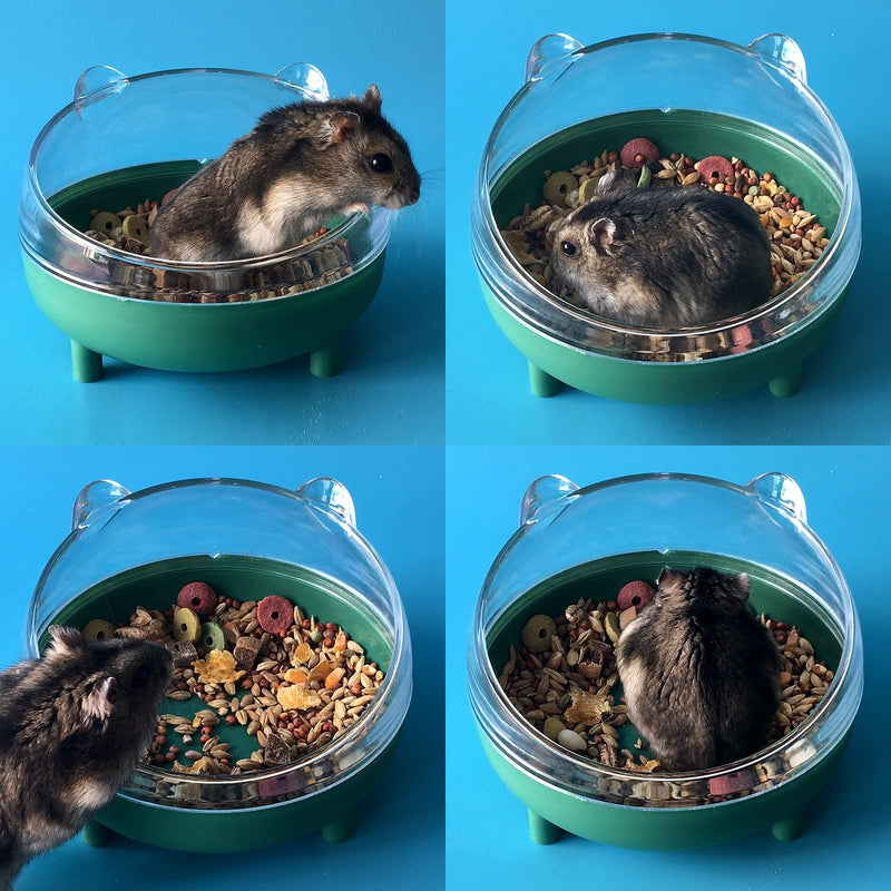 Hamster Food Bowl, Elevated Tilted Pet Feeder, Reduces Neck Strain, Suitable for Dwarf Hamsters, Gerbils, Mice, Puppies, and Other Small Animals Green - PawsPlanet Australia