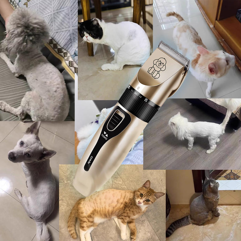 Dog Clipper Low Noise, Rechargeable Cordless Dog Hair Trimmer, Electric Pet Shaver, Paw Trimmer for Dogs Cats Champagne Gold - PawsPlanet Australia