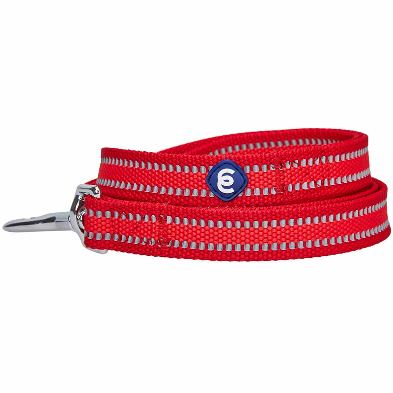 Blueberry Pet Essentials Reflective Better Basics Dog Leash, Rouge Red, 5 ft x 3/4", Medium, Leashes for Dogs - PawsPlanet Australia