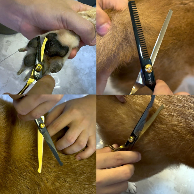 Dog Grooming Scissors Kit, Fcysy Professional Pet Shears for Cats at Home, Dog Grooming Tools with Curved & Straight Blades Scissors Thinning Shears Pet Supply Set Gold 7 Pcs - PawsPlanet Australia