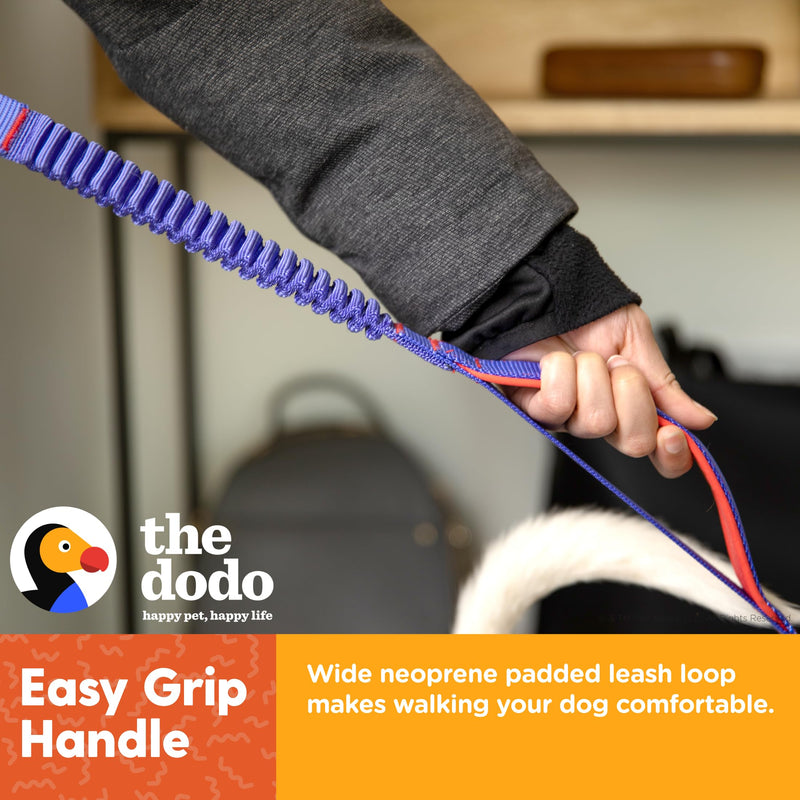 The Dodo Bungee Dog Leash, Blue - Easily Attaches to Any Dog Collar or Harness D-Ring - Two Length Options - Comfortable 4 Feet Walking Leash for All Dogs - PawsPlanet Australia
